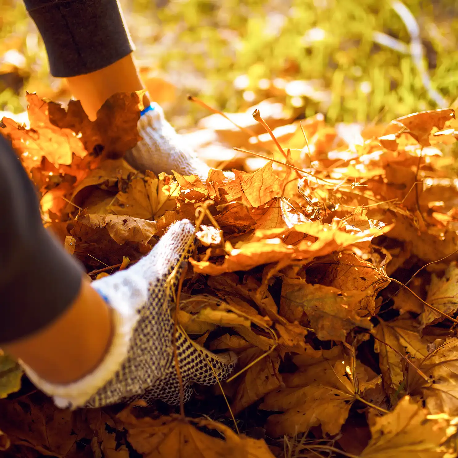 AdobeStock_369888831